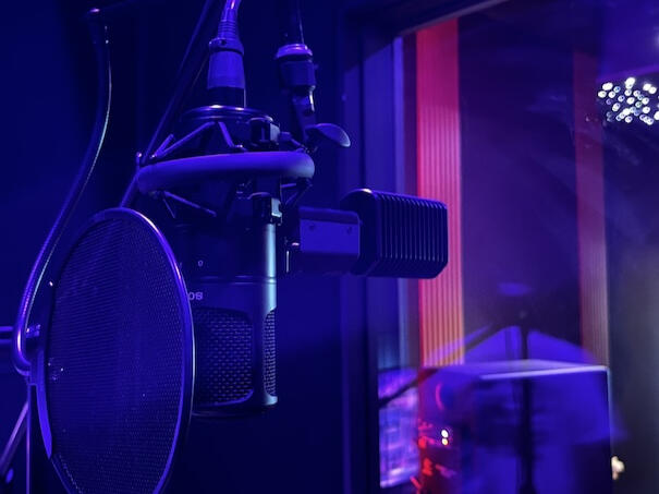 Studio microphone in vocal booth